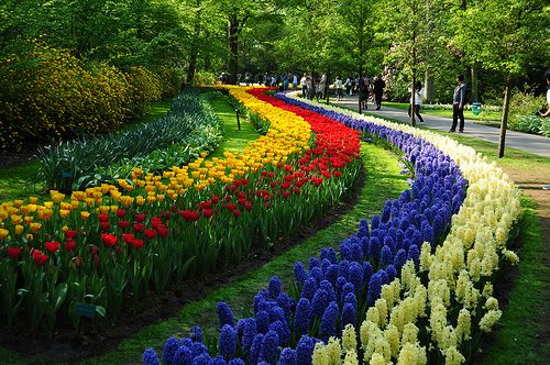 Excursión a Keukenhof